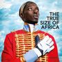 : The True Size of Africa, Buch