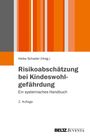 : Risikoabschätzung bei Kindeswohlgefährdung, Buch