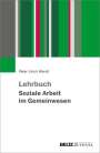 Peter-Ulrich Wendt: Lehrbuch Gemeinwesenarbeit, Buch