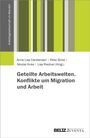 : Geteilte Arbeitswelten. Konflikte um Migration und Arbeit, Buch