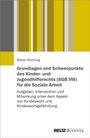 Walter Röchling: Grundlagen und Schwerpunkte des Kinder- und Jugendhilferechts (SGB VIII) für die Soziale Arbeit, Buch