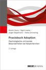 Kerstin Haury: Praxisbuch Adoption, Buch