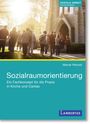 Marcel Petzold: Sozialraumorientierung, Buch