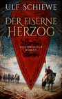 Ulf Schiewe: Der eiserne Herzog, Buch