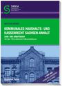 Matthias Wiener: Kommunales Haushalts- und Kassenrecht Sachsen-Anhalt, Buch