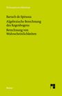 Baruch de Spinoza: Algebraische Berechnung des Regenbogens - Berechnung von Wahrscheinlichkeiten, Buch
