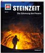 Andrea Schaller: WAS IST WAS Band 138. Steinzeit - Die Zähmung des Feuers, Buch