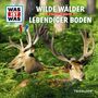 : Was ist was Folge 54: Wilde Wälder/ Lebendiger Boden, CD