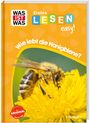 „Wie lebt die Honigbiene?“ auf gelbem Hintergrund mit Foto einer Honigbiene auf einer Blüte.