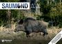 : Saumond 2026, KAL