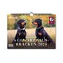 : Schwarzwildbracken 2026, KAL