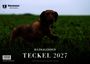 Teckel 2027 - Themenkalender, KAL