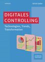Ulrich Sailer: Digitales Controlling, Buch