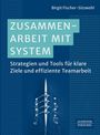 Oben steht "Birgit Fischer–Sitzwohl". Titel: "ZUSAMMENARBEIT MIT SYSTEM". Unten Ruderboot von oben und Logo "SCHÄFFER POESCHEL".