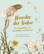 Laura Brand: Wunder der Natur. Ein Augenblick zum Innehalten und Staunen, Buch