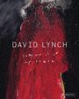 David Lynch: David Lynch. Someone is in my House, Buch