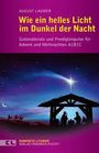 August Laumer: Wie ein helles Licht im Dunkel der Nacht, Buch