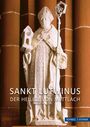 Hans-Thomas Schmitt: Sankt Lutwinus, Buch