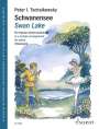 : Schwanensee, Buch