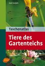 Axel Gutjahr: Taschenatlas. Tiere des Gartenteichs, Buch
