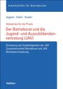 Axel Angerer: Der Betriebsrat und die Jugend- und Auszubildendenvertretung (JAV), Buch