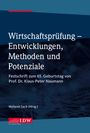 : Wirtschaftsprüfung - Entwicklungen, Methoden und Potenziale, Buch