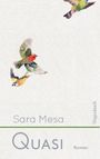 Sara Mesa: Quasi, Buch