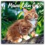 Plenty Gifts: Maine Coon Cats - Main Coon Katzen 2026 - 18-Monatskalender - Original Plenty Gifts-Kalender [Mehrsprachig] [Kalender], KAL