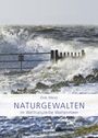 Dirk Meier: Naturgewalten im Weltnaturerbe Wattenmeer, Buch