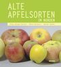 Klaus-Jürgen Paulsen: Alte Apfelsorten im Norden, Buch