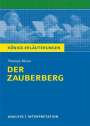 Thomas Mann: Der Zauberberg. Textanalyse und Interpretation, Buch