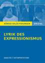 Gudrun Blecken: Lyrik des Expressionismus, Buch