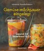 Johanna Handschmann: Gemüse milchsauer eingelegt, Buch