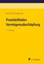 David Ullenboom: Praxisleitfaden Vermögensabschöpfung, Buch