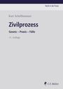 Titel: "Zivilprozess". Untertitel: "Gesetz – Praxis – Fälle". Autor: "Kurt Schellhammer". "17. Auflage". Logo unten rechts.
