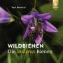 Paul Westrich: Wildbienen die anderen Bienen, Buch
