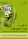 Elke Bergmann: Kleine Schönheiten - Wildblumen, Wildbienen und Schwebfliegen, Buch