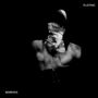 Flothic Dai: Noir1313, Buch