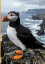"Puffins: lange Reise ins Ungewisse von Harriet O'Neal." Ein Papageitaucher auf einer Felsküste mit Meer im Hintergrund.