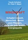 Peter F. Mayer: Windkraft, Buch