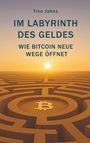 Tino Jahnz: Im Labyrinth des Geldes, Buch