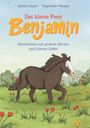 Stephanie Männer: Das kleine Pony Benjamin, Buch