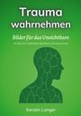 Kerstin Langer: Trauma wahrnehmen, Buch