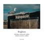 Tobias Riedl: Brighton, Buch