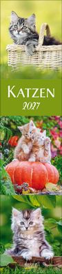 Text: "Katzen 2027". Drei Katzenbilder: Oben Katze im Korb, Mitte Katzen auf Kürbis, unten Katze auf Baumstamm.