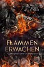 Susan Ottiger: Flammenerwachen, Buch