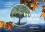 Peter Dorn: Bruder Baum, Buch