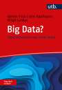 Detlev Frick: Big Data? Frag doch einfach!, Buch