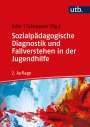: Sozialpädagogische Diagnostik und Fallverstehen in der Jugendhilfe, Buch