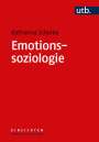 Katharina Scherke: Emotionssoziologie, Buch